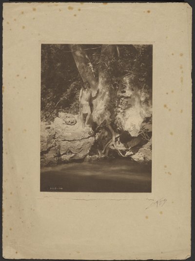 Apache-Black River (U platanu) od Edward S. Curtis