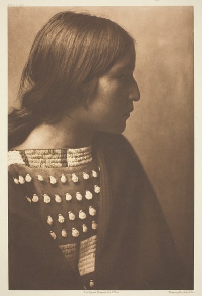 od mravence od Edward S. Curtis
