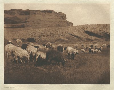 Portfolio I, deska 33: Navaho Flocks od Edward S. Curtis