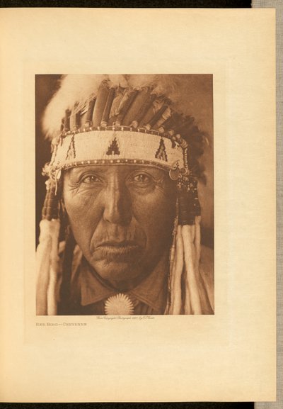 Red Bird - Cheyenne od Edward S. Curtis