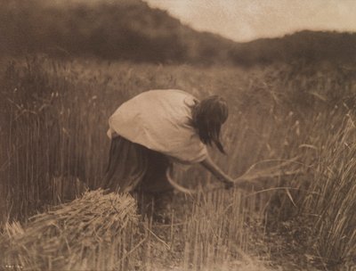 Apačský žnec od Edward S. Curtis