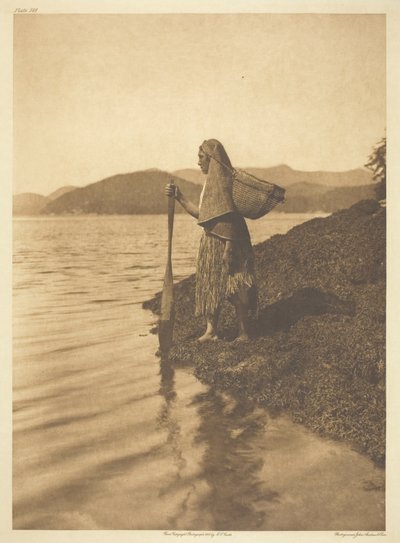 Sběratel mořských řas od Edward S. Curtis