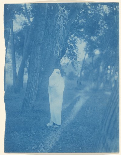 Čekání v lese – Cheyenne od Edward S. Curtis