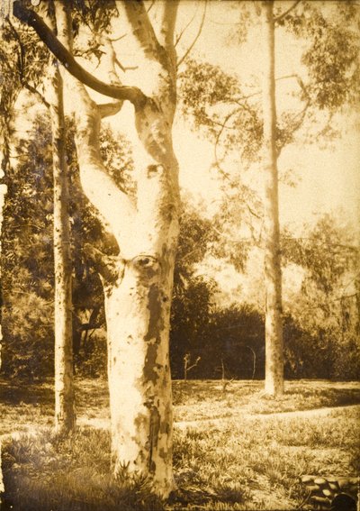 Na farmě, Seattle, Washington od Edward Sheriff Curtis