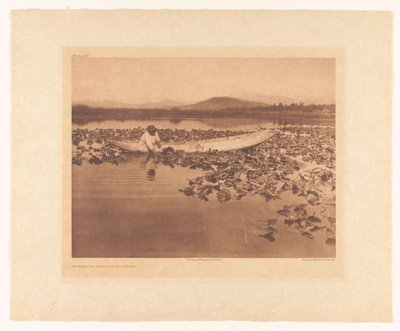  od Edward Sheriff Curtis