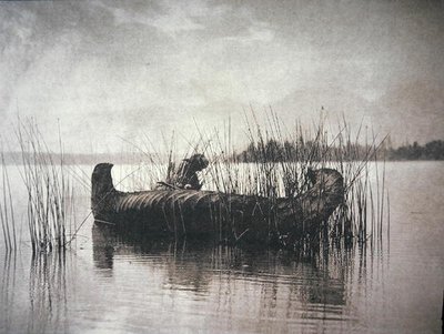 The Rush Gatherer, Montana (černobílá fotografie) od Edward Sheriff Curtis