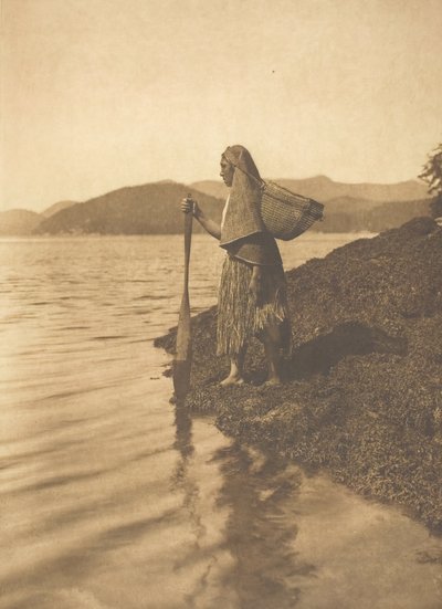 Sběratel mořských řas, 1915. od Edward Sheriff Curtis