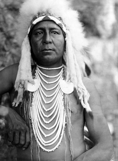 Upshaw, Apsaroke (Crow), c. 1905, foto Edward S. Curtis od Edward Sheriff Curtis