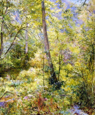 Skvrnité sluneční světlo, Sheepscombe Woods od Edward Steel Harper