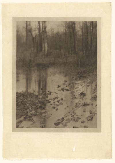 Bazén od Edward Steichen