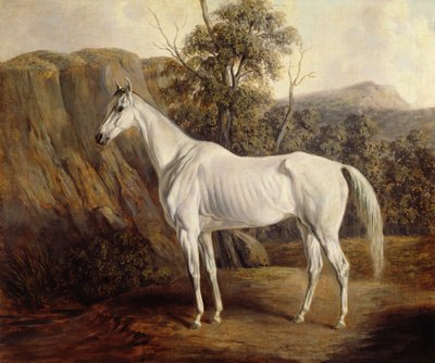 Bolívie, 1836 od Edward Troye