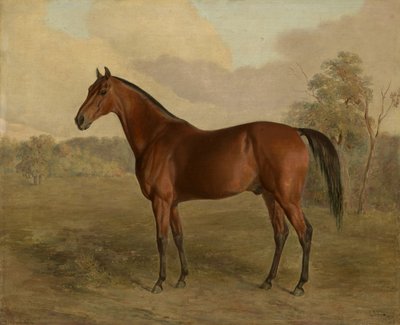 Kentucky datel, 1834 od Edward Troye
