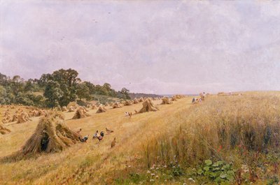 Sklizeň kukuřičného pole od Edward Wilkins Waite
