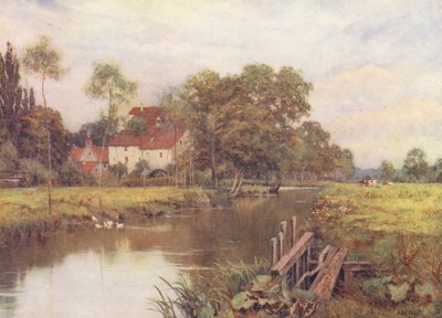 Na rozkvetlé louce (barevná litografie) od Edward Wilkins Waite
