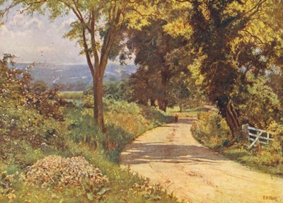 Moje cesta (barevná litografie) od Edward Wilkins Waite