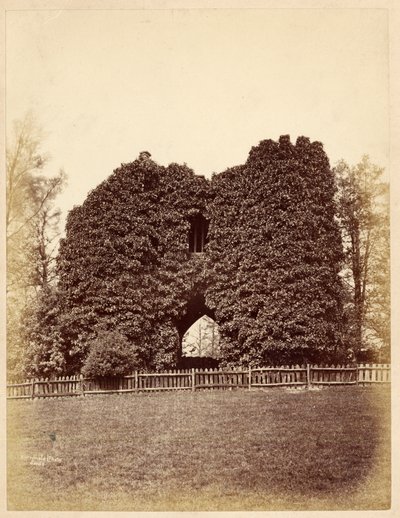 Pohled na bláznovství v Roundhay Park (tisk alba) od Edward Wormald