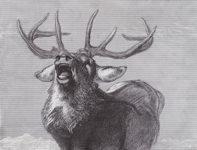 Výzva od Edwin (after) Landseer