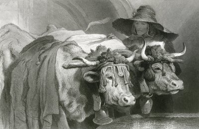 Voli u nádrže, Ženeva (rytina) od Edwin (after) Landseer