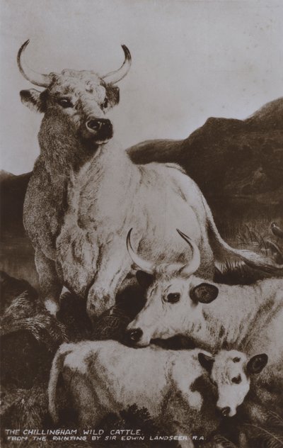 Závěsný od Edwin (after) Landseer