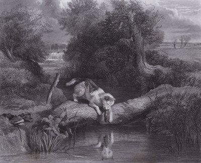 Pes a stín (rytina) od Edwin (after) Landseer