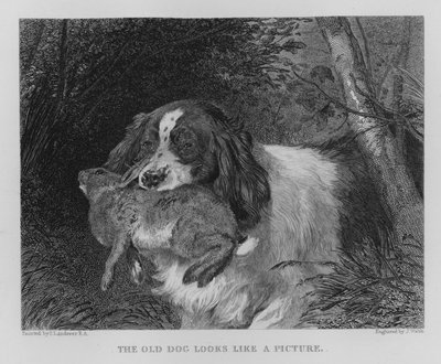 Závěsný od Edwin (after) Landseer