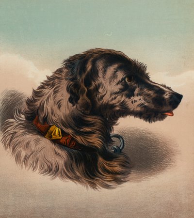 Jelení pes () (barevná litografie) od Edwin (after) Landseer