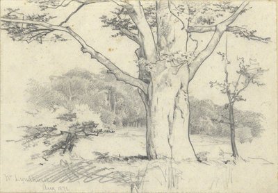 Nr. Lyndhurst, srpen 1871 od Edwin Austin Abbey