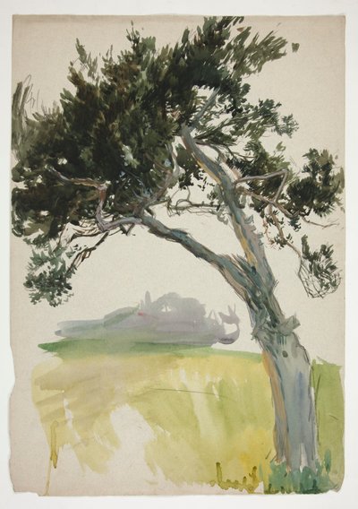Studie stromu a pole od Edwin Austin Abbey