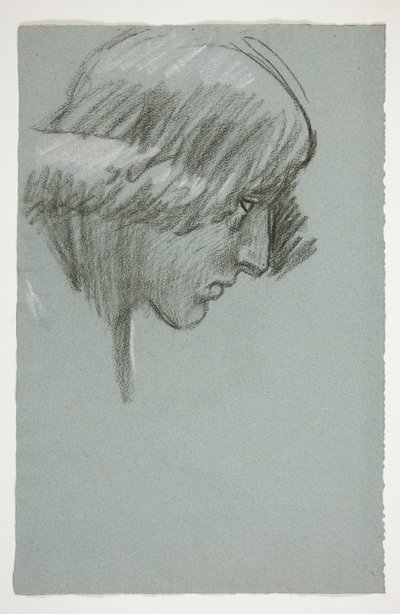 Studie mladého muže od Edwin Austin Abbey