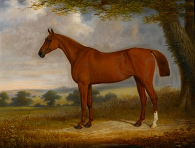 Lovec kaštanů v krajině, 1867 od Edwin Brown
