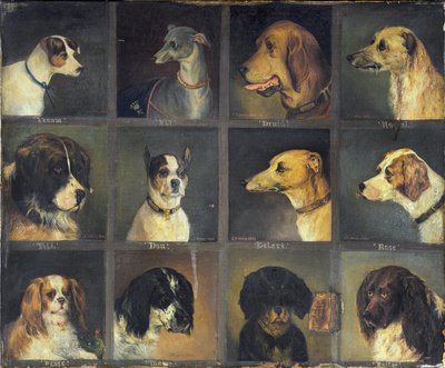 Dvanáct oblíbených psů, 1883 od Edwin Frederick Holt