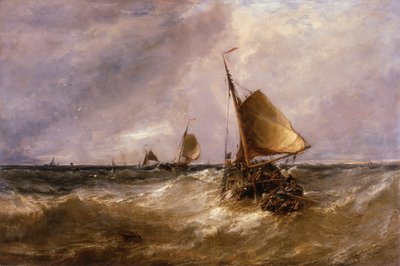 holandské růžové od Edwin Hayes