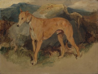 Deerhound, 1826. od Edwin Landseer