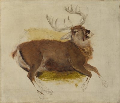 Dying Stag, ca. 1830. od Edwin Landseer