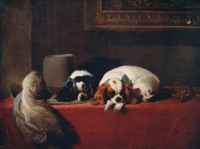 King Charles Spaniels The Cavaliers Pets, 1845, c1915 od Edwin Landseer