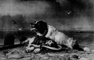Zachráněno!, c1856, 1911 od Edwin Landseer