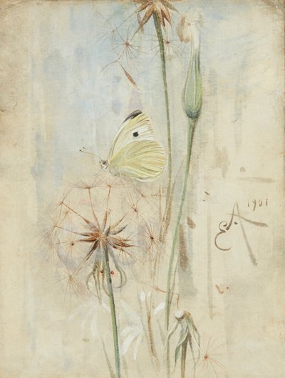 Motýl a bodlák (akvarel) od Edwin John Alexander
