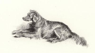 Pes setr od Edwin Landseer