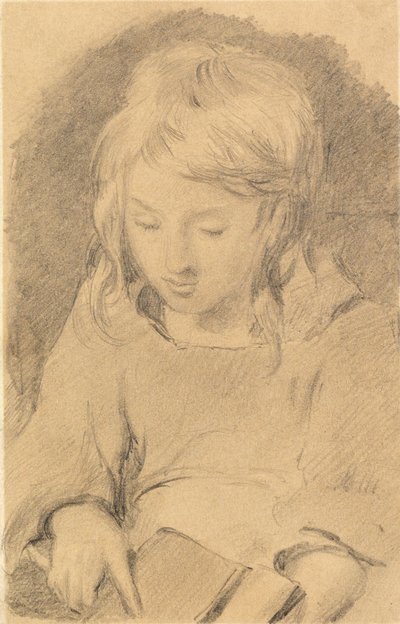 Mladá dívka mykání vlny od Edwin Landseer