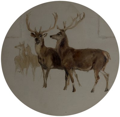 Jelen v krajině (Studie jelenů) od Edwin Landseer
