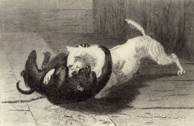 Příklad X, psí zápas s opicí od Edwin Landseer