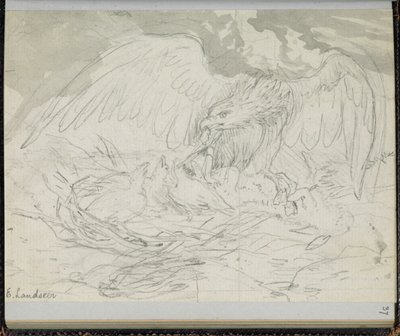 F. 37: Dravec krmící kuřata, z „Knihy skic se scénami z příběhů Charlese Dickense“ (tužka na papíře) od Edwin Landseer