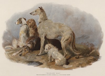 Highland Dogs (chromolit) od Edwin Landseer