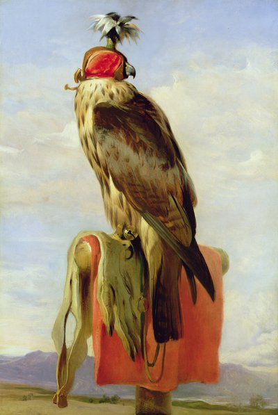 Sokol s kapucí od Edwin Landseer