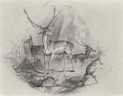 V Glenu od Edwin Landseer