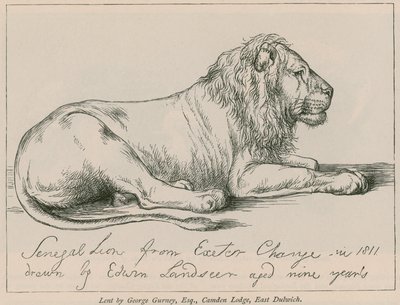 Senegalský lev z Exeter Change od Edwin Landseer