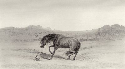 Vyděšený! od Edwin Landseer
