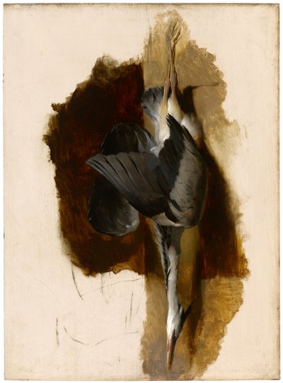 Studie mrtvé volavky, c.1832-33 od Edwin Landseer