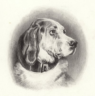 Krvavý pes od Edwin Landseer
