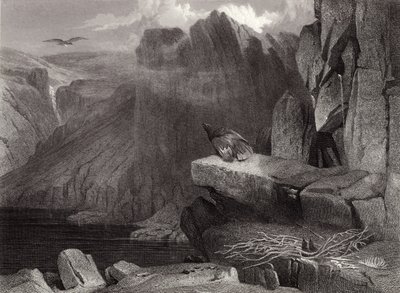 Orlí hnízdo od Edwin Landseer